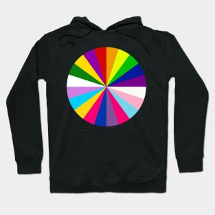 Pride Color Wheel Hoodie